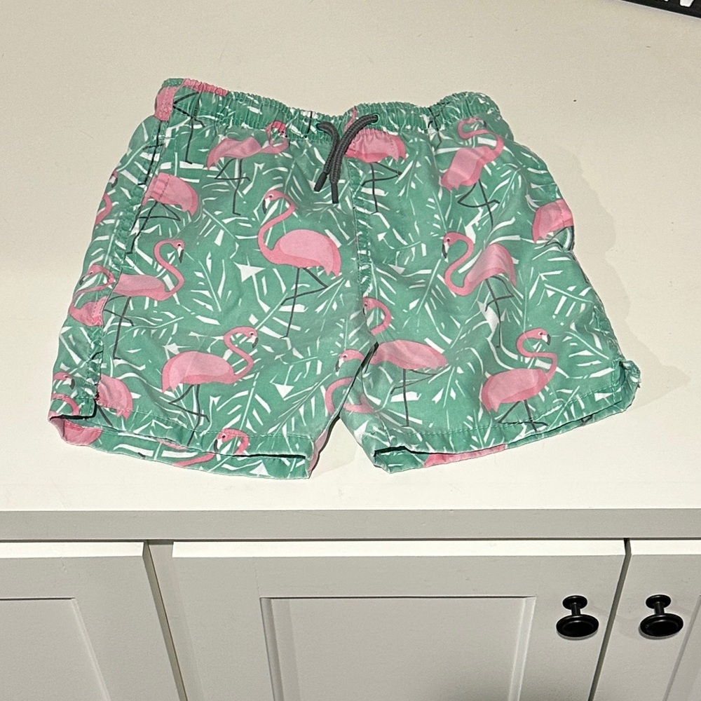 Green Flamingo Print Swim Shorts